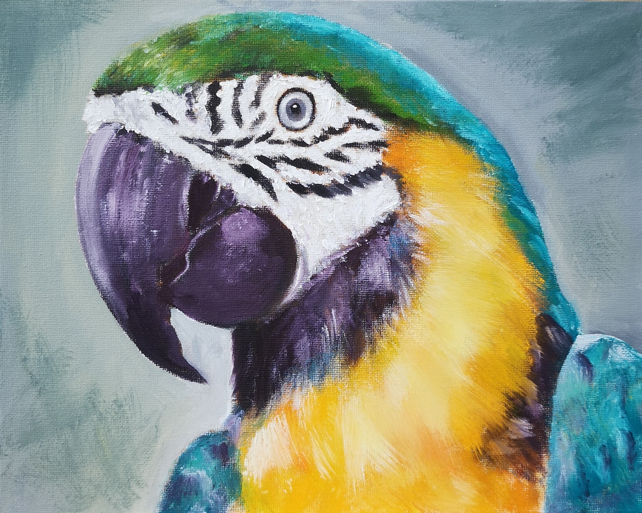 parrot-ara-oil-painting-on-canvas-original-art-wall-art-tropical