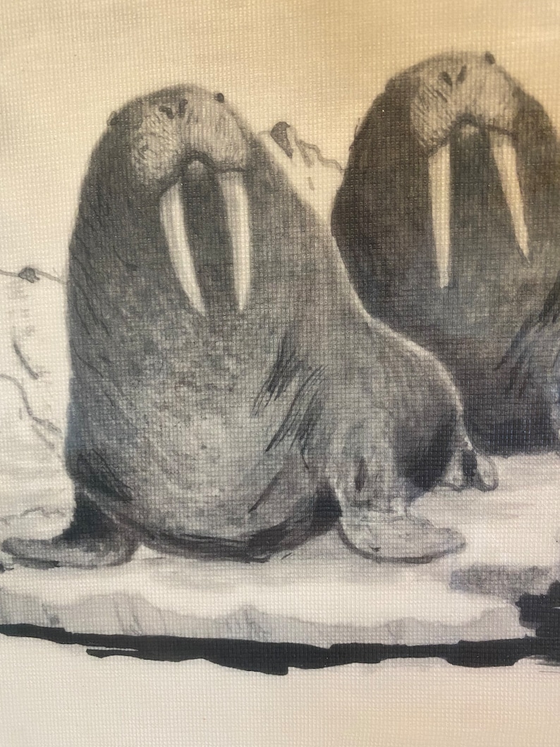 Bering Sea Originals walruss Pencil Sketch Art by Florence - Etsy