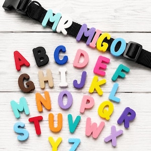 Op de afbeelding: Een zwarte nylon halsband met een plastic gesp bevat de tekst MR MIGO in kleurrijke schuimrubberen letters. Onder de halsband ligt een complete set van zesentwintig individuele schuimrubberen alfabetletters van A tot Z in rijen.