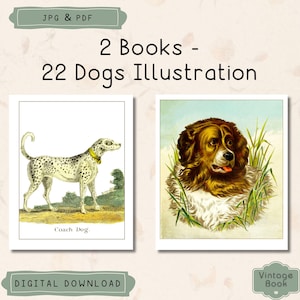 Vintage Dog Illustrations, Printable &#39;A Book of Dogs&#39; and &#39;Landseer&#39;s Dogs&#39; Children&#39;s Books, Dog Breeds Drawings, Commercial Use