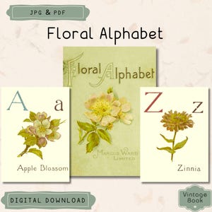 Vintage 1883 &#39;Floral Alphabet&#39; Illustrated Book, Printable Children&#39;s ABC Book, Antique Book, Ephemera, Scrapbooking, Commercial Use