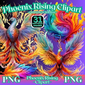 Phoenix Rising Clipart, Watercolor phoenix png, Rainbow Phoenix clipart, mythical bird png bundle, Spiritual Clipart, rainbow phoenix png