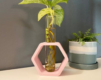 3D Printed Hex Propagation Station, Plant Propagation Stand, Plant Accessories, Eco Friendly!