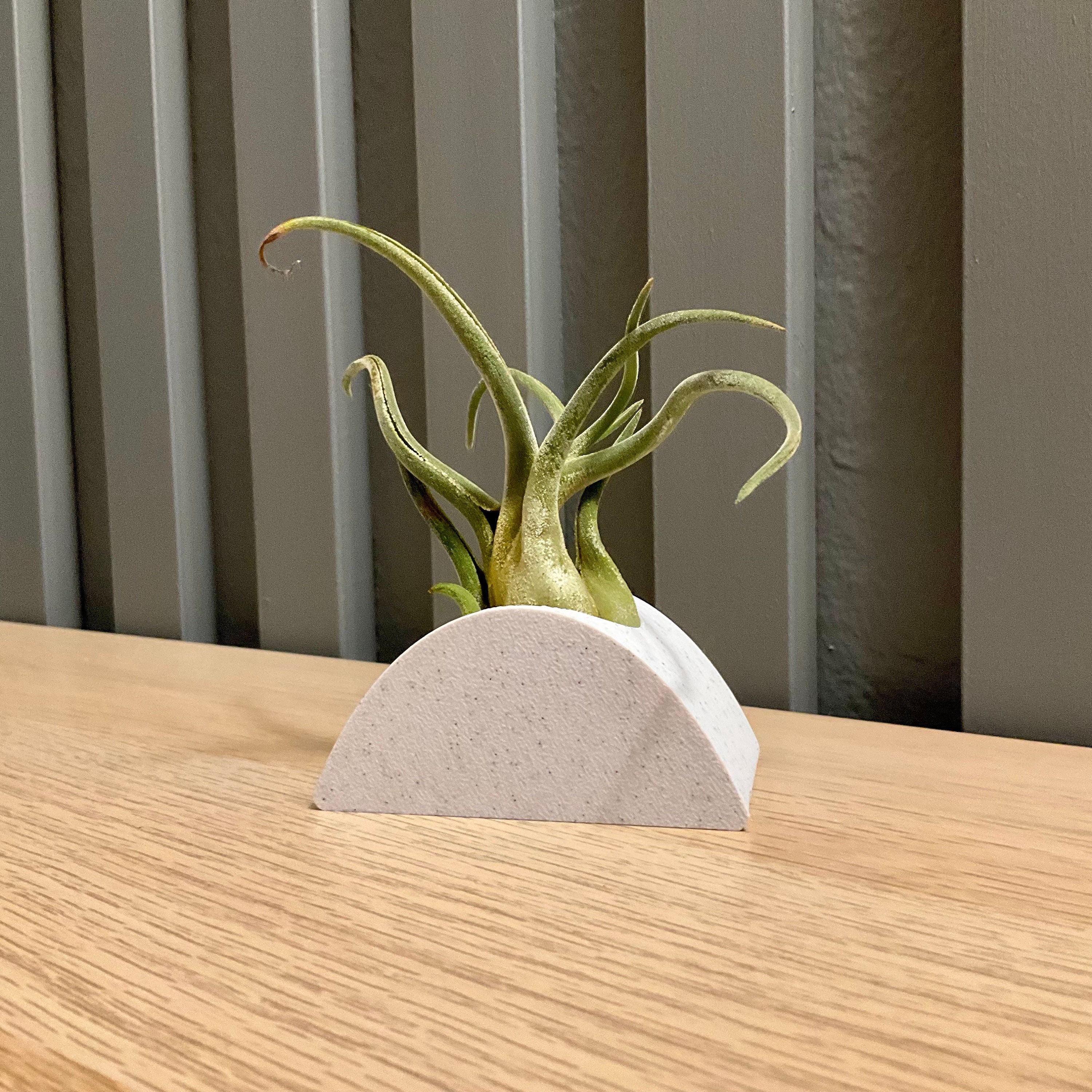 Soportes Colgantes Para Plantas De Aire | 4 Piezas Geométricas De Metal | Decoración Moderna Para Tillandsias Y Suculentas