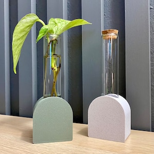 Puede incluir: Dos pequeños jarrones de vidrio con tapas de corcho, uno con una planta verde en su interior, colocados sobre una superficie de madera. Los jarrones están en soportes de hormigón, uno verde y otro blanco.