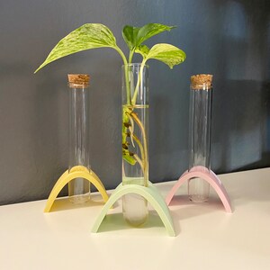 May include: Three glass test tubes with cork tops are displayed on colorful arched stands. The test tubes are filled with water and a leafy green plant with roots. The plant is growing in the water.