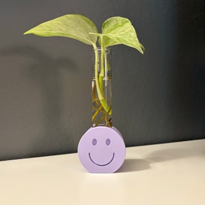 May include: A purple smiley face planter with a glass test tube vase holding a small potted plant with green and white leaves.