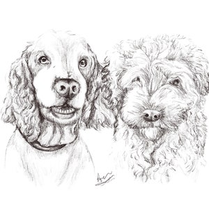 Double pet portrait