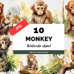 Watercolor monkey clipart,  10 High quality JPG, Commercial use, Instant download, Forest, Woodlands, Jungle, Scenery, Cute animals, Primate