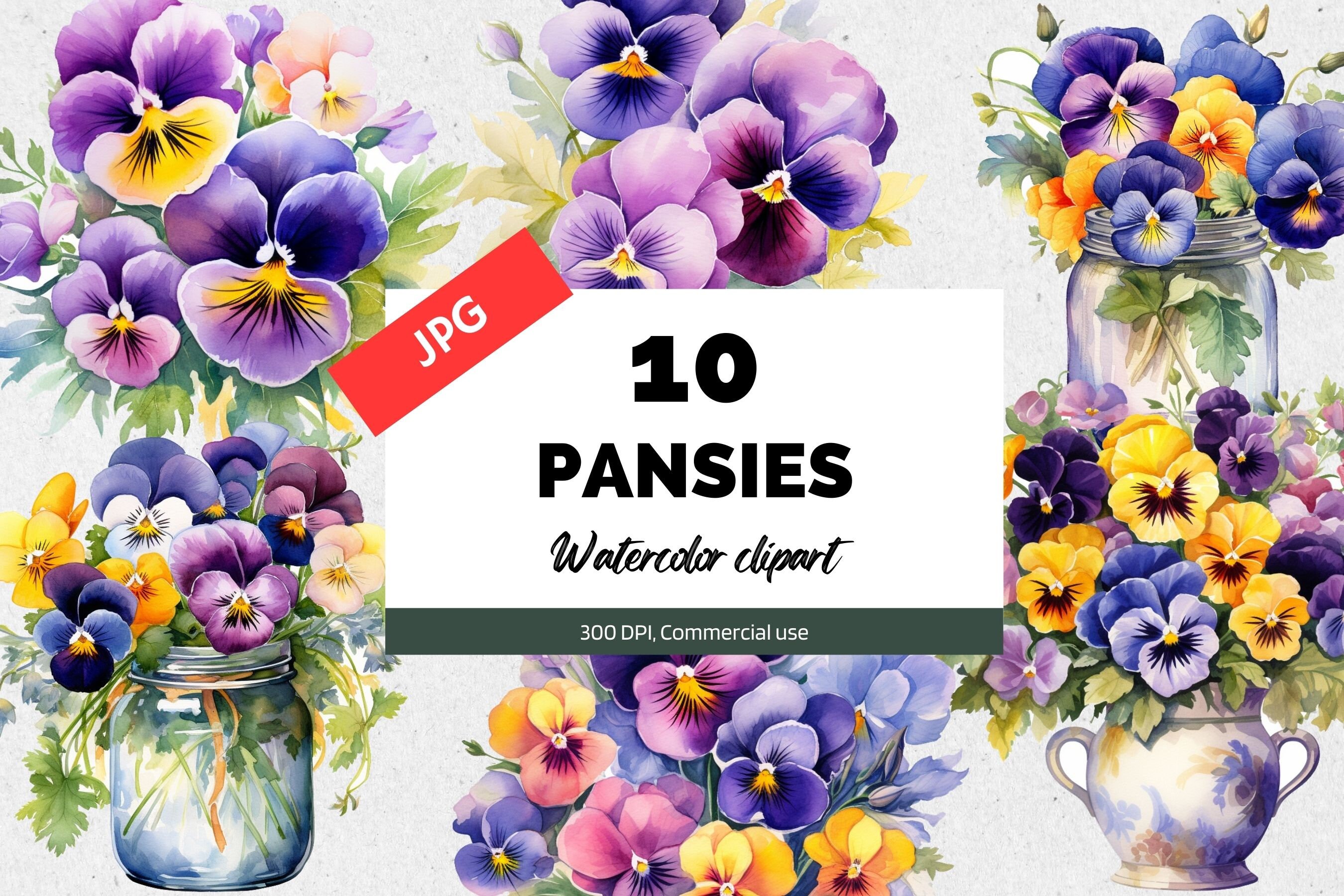 Watercolor pansies clipart, 10 High quality JPGs, Commercial use, Instant download, Card making, Flower, Flowers, Floral, Vase, Springtime