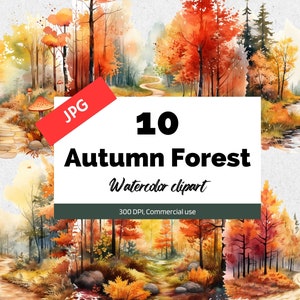Clipart de forêt d'automne, 10 JPG de haute qualité, Utilisation commerciale, Téléchargement instantané, Illustration d'automne, Graphiques d'automne, Arbre, Artisanat de fabrication de cartes