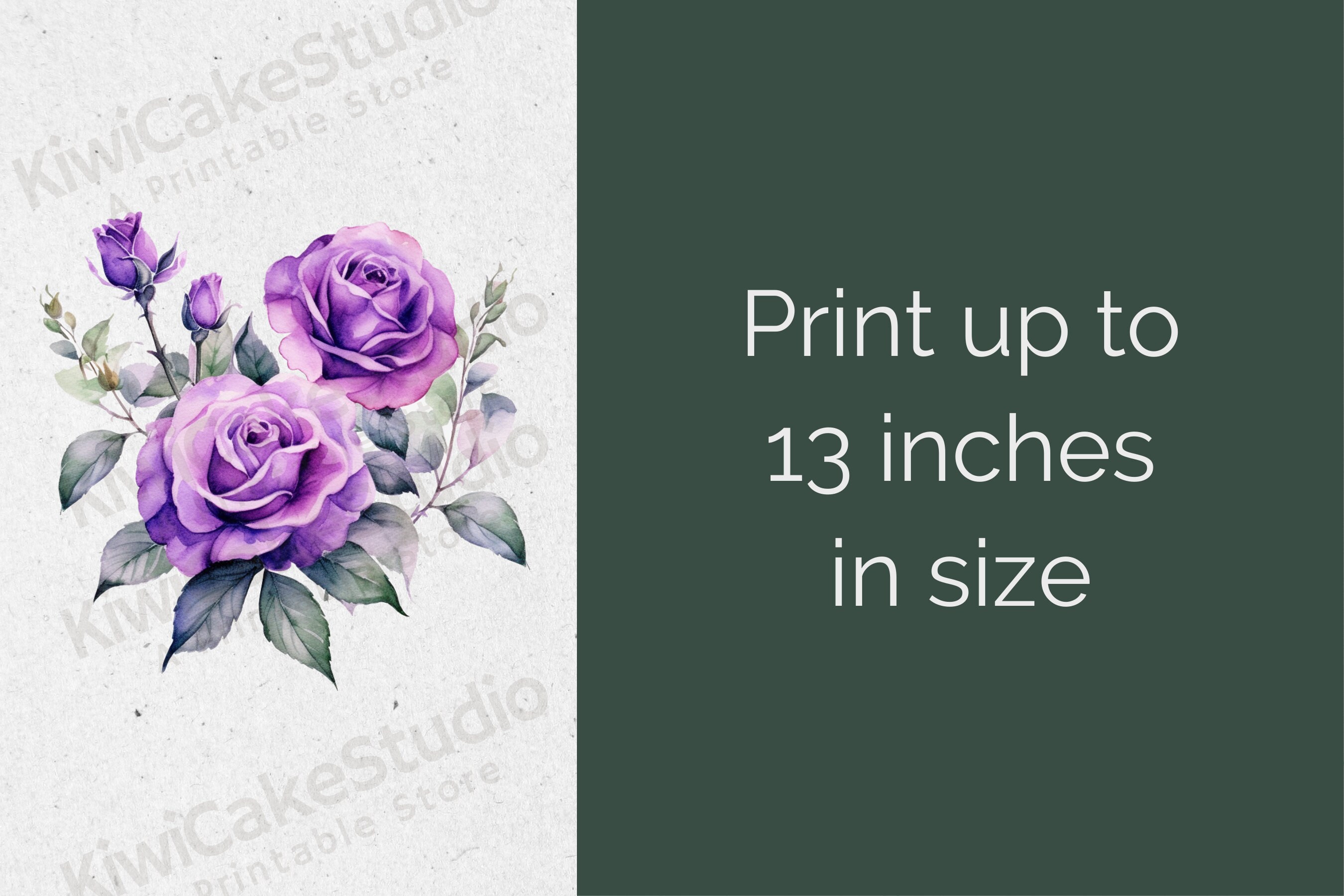Purple Watercolor Roses Clipart, Floral Clipart, 10 High Quality Jpgs ...