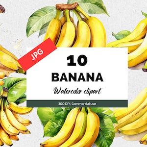 10 Aquarell Bananen Clipart, hochwertige JPGs, Kartenherstellung, kommerzielle Nutzung, Sofortiger Download, Sublimation, Obst Clip Art, tropische Früchte