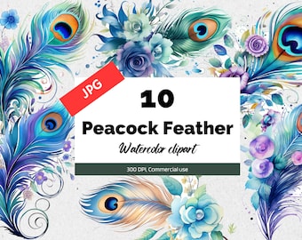 Watercolor peacock feather clipart, 10 High quality JPGs, Card making, Apparel, Invitation Card, Digital journal, Commercial use, Download