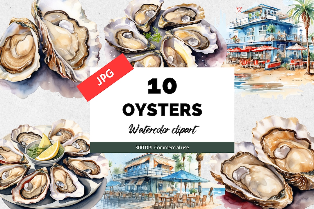 Watercolor Oyster Theme Clipart, 10 High Quality Jpgs, Commercial Use ...