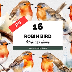 Aquarela Robin Clipart JPG, artesanato em papel digital, uso comercial, criação de cartões, download instantâneo, JPG de alta qualidade