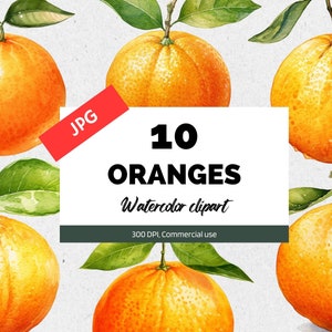 Watercolor orange clipart, 10 High quality JPG, Card making, Summer botanical fruit, Commercial use, Instant download, Scrapbook images