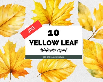Watercolor fall leaves clipart, JPGs, Yellow leaf clip art, Autumn clipart, Fall clipart, Thanksgiving, Woodland, Rustic, Oak, Maple leaves