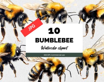 Imágenes prediseñadas de abejorro de acuarela, JPG, Imágenes digitales de abeja linda, Fabricación de tarjetas, Elaboración de papel, Paquete comercial, Descarga instantánea