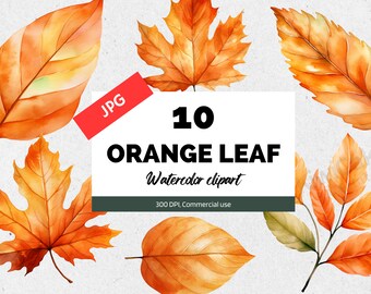 Watercolor fall leaf clipart, High quality JPGs, Thanksgiving, Halloween, Yellow red leaf, Woodland, Rustic, Oak, Maple leaves, Card making