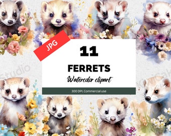 11 Watercolor ferrets clipart, High quality JPGs, Digital Paper, Card Making, Nursery Art, Digital download, Digital Planner