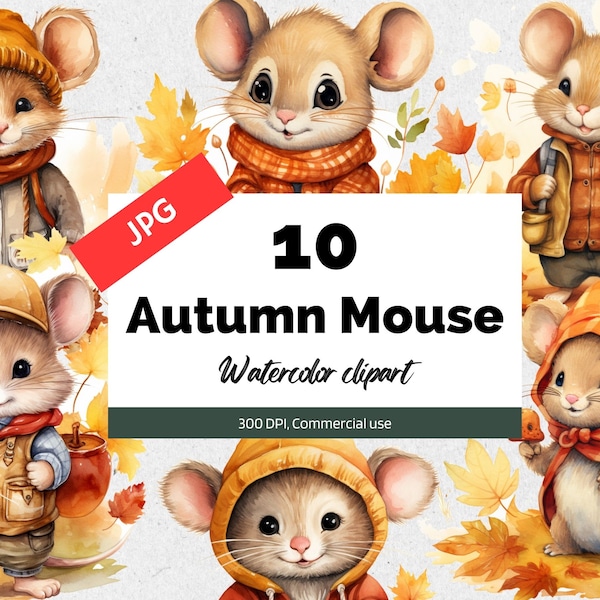 Autumn mouse clipart, 10 High quality JPGs, Commercial use, Instant download, Fall animal, Kids clip art, Fall graphics, Watercolor autumn