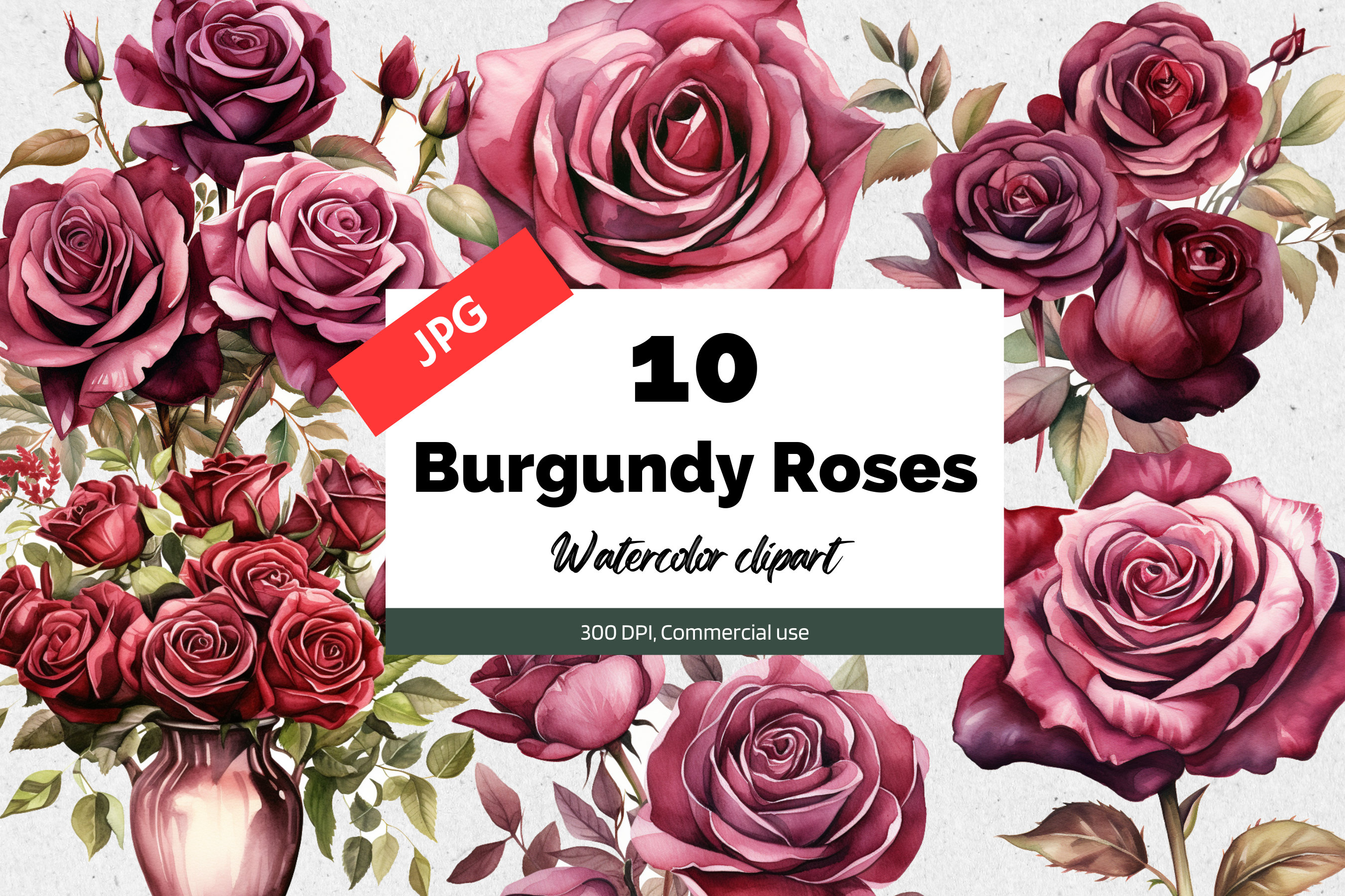 Brote De Rose Del Cierre Del Color De Borgoña Para Arriba Imagen de archivo  - Imagen de flores, burgués: 147355151, image size:2700x1800