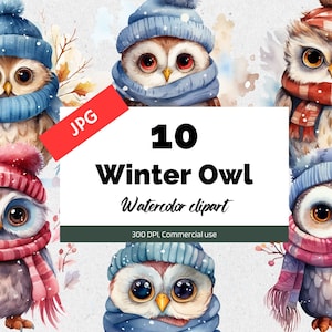 Aquarell Winter Eule Clipart, 10 hochwertige JPGs, kommerzielle Nutzung, Sofortiger Download, Eulen Cliparts, Winter Tiere, niedliche Grafiken, Handwerk