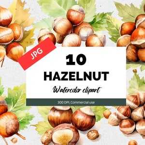 Puede incluir: Diez ilustraciones de acuarela de avellanas, cada una con una disposición diferente de las nueces y las hojas. Las ilustraciones son de estilo realista y presentan una variedad de colores, que incluyen marrón, verde y amarillo. El texto "10 HAZELNUT Watercolor clipart 300 DPI, Commercial use" se muestra sobre un fondo blanco.