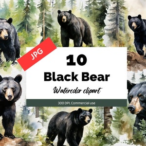 Watercolor black bear clipart,  10 High quality JPGs, Commercial use, Instant download, Wildlife, Wild animal, Bears clip art, Bear graphics