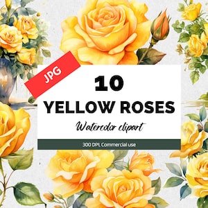 10 Watercolor yellow roses clipart, Commercial use, Instant download, Scrapbooking, Card making, Wedding, Nursey wall art