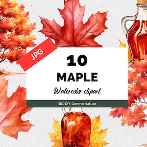 Aquarell Ahorn Cliparts, 10 hochwertige JPGs, kommerzielle Nutzung, Sofortiger Download, Herbst Cliparts, Herbst ClipArt, Ahornblätter, Ahornsirup