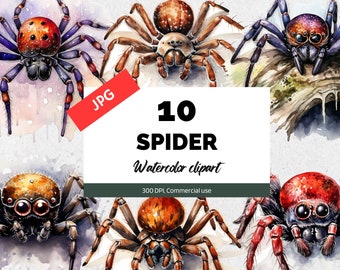 Imágenes prediseñadas de araña de acuarela, 10 JPG de alta calidad, Uso comercial, Descarga instantánea, Gráfico de arañas de Halloween, Truco o trato, Festivo de otoño