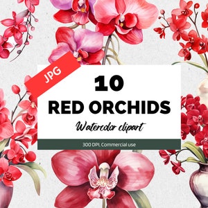 Clipart d'orchidée rouge aquarelle, clipart floral, utilisation commerciale, téléchargement immédiat, fabrication de cartes, scrapbooking, artisanat en papier numérique, carte postale