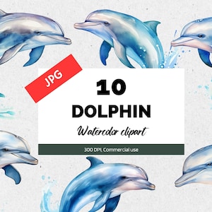 Watercolor dolphin clipart, 10 High quality JPGs, Commercial use, Instant download, Dolphins, Aquatic life, Cute marine animal, Card making