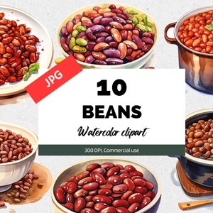 Watercolor beans clipart, 10 High quality JPGs, Commercial use, Instant download, British food, English breakfast, Red beans, Cooked food