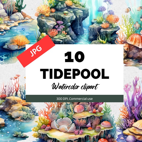 Watercolor tidepool clipart, 10 High quality JPGs, Ocean seascape scene, Commercial use, Instant download, Card making, Sealife, Beach