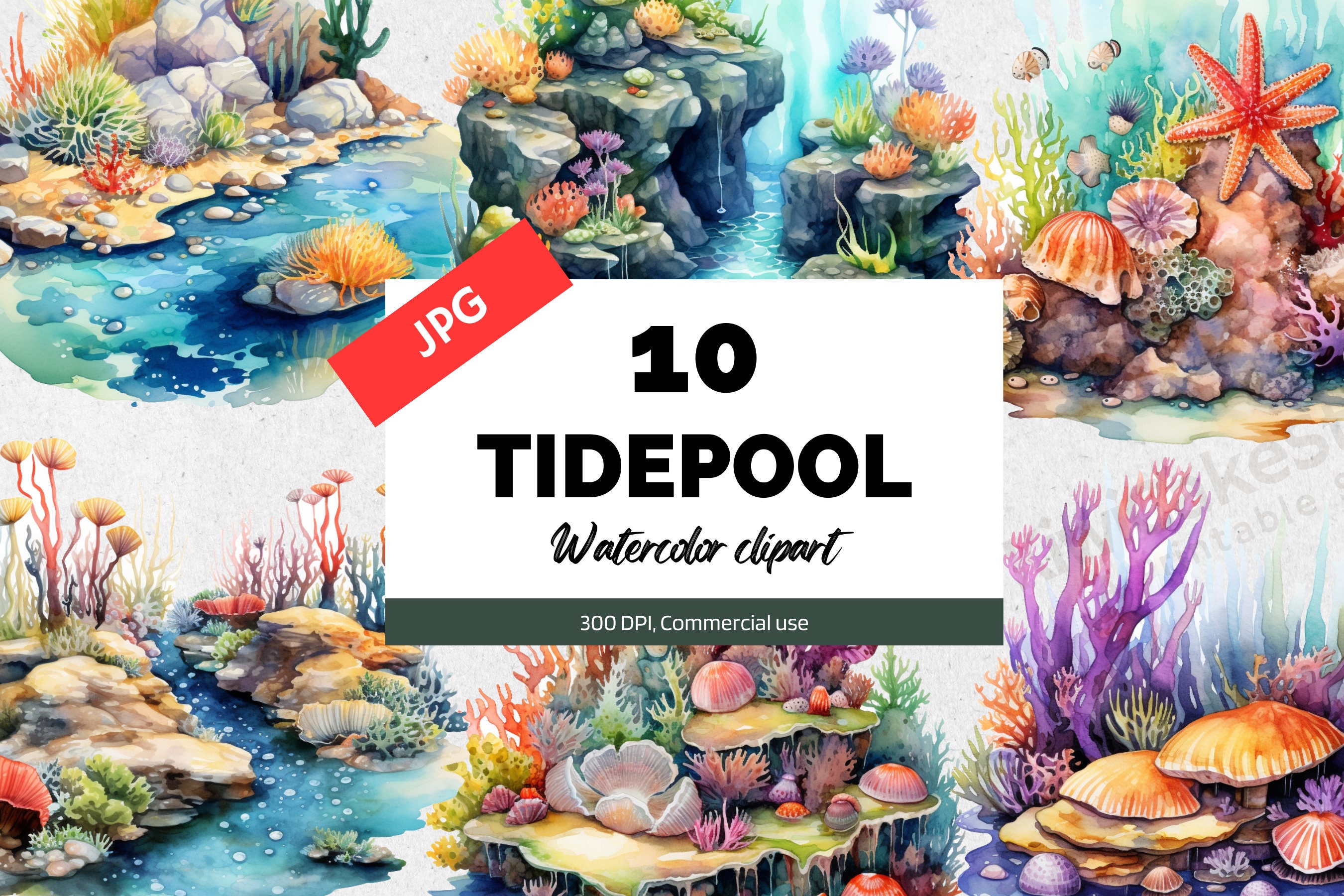 Watercolor Tidepool Clipart, 10 High Quality Jpgs, Ocean Seascape Scene ...