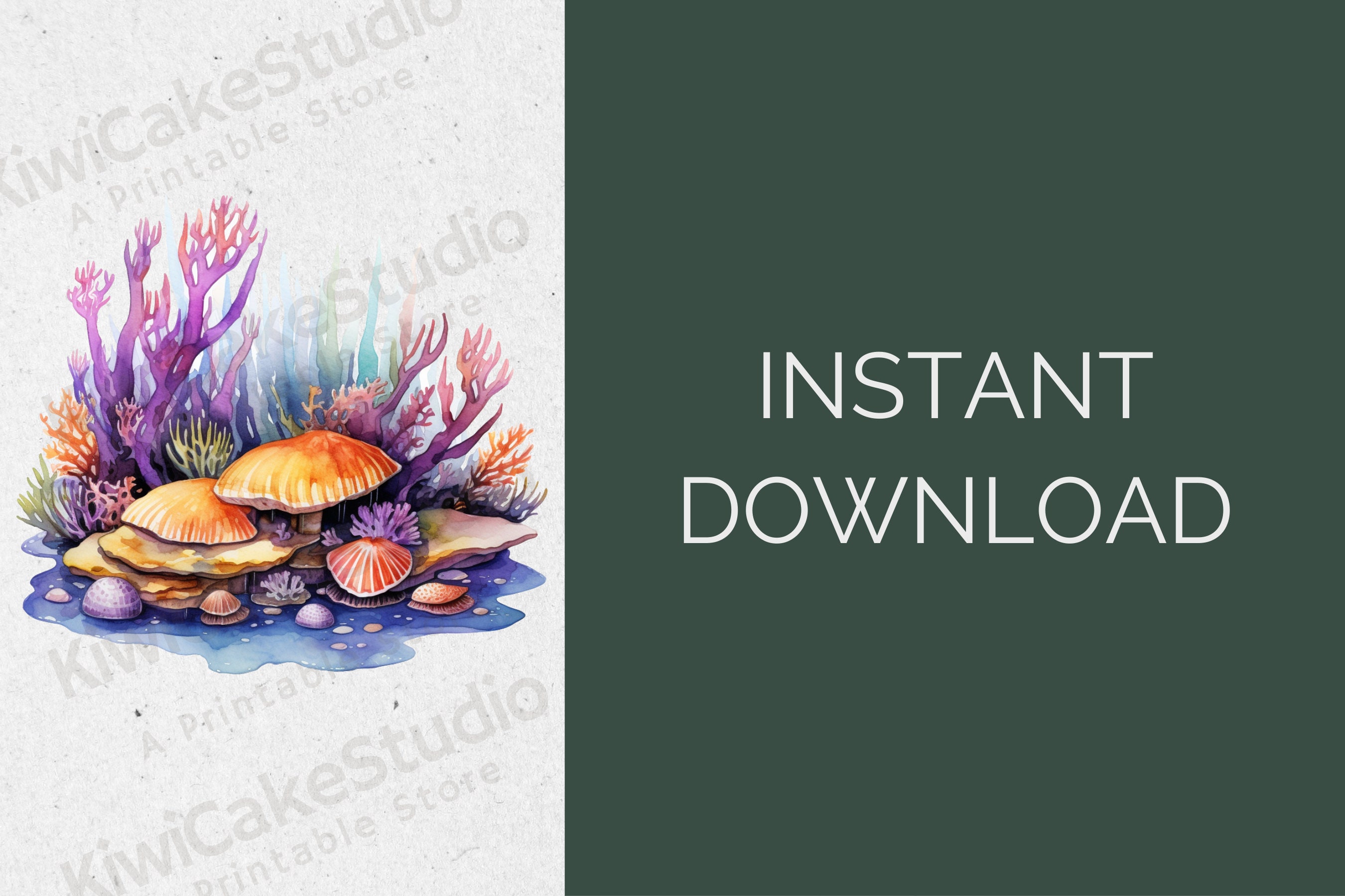 Watercolor Tidepool Clipart, 10 High Quality Jpgs, Ocean Seascape Scene ...