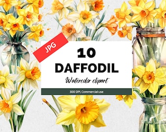 10 Daffodil clipart JPG, Summer flowers, Commercial use, Instant download, Scrapbooking, Digital paper craft, DIY, Card making, Labels
