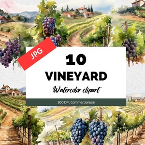 Clipart vigneto acquerello, 10 JPG di alta qualità, Uso commerciale, Download istantaneo, Francia, ClipArt di viaggio, Uva, Vigneti estivi, Rurale