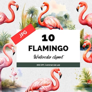 Watercolor flamingo clipart, 10 High quality JPGs, Tropical bird, Commercial use, Instant download, Instant download, Card making, Scrapbook