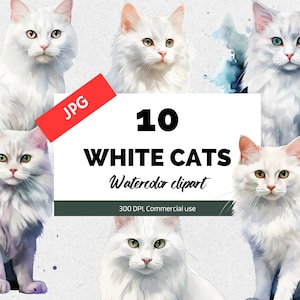 Watercolor white cat clipart. 10 High quality JPGs, Cute cats and kittens, Commercial use, Digital download, Digital paper craft, Nursery