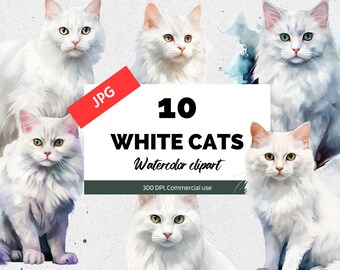 Watercolor white cat clipart. 10 High quality JPGs, Cute cats and kittens, Commercial use, Digital download, Digital paper craft, Nursery
