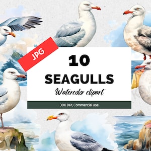 Watercolor seagull clipart, 10 High quality JPGs, Beach cliparts, Summer clip arts, Card making, Apparel, Junk journal, Digital paper craft
