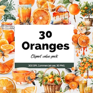 Aquarell Orange Clipart, Aquarell Clipart Sommer, digitaler Download, Clipart Essen, 30 PNG, kommerzielle Nutzung, Mandarin Clipart, Orange Fruit