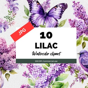 Aquarelle lilas clipart JPG, cliparts floraux, utilisation commerciale, téléchargement numérique, artisanat en papier numérique, fabrication de cartes, carte postale, Scrapbooking