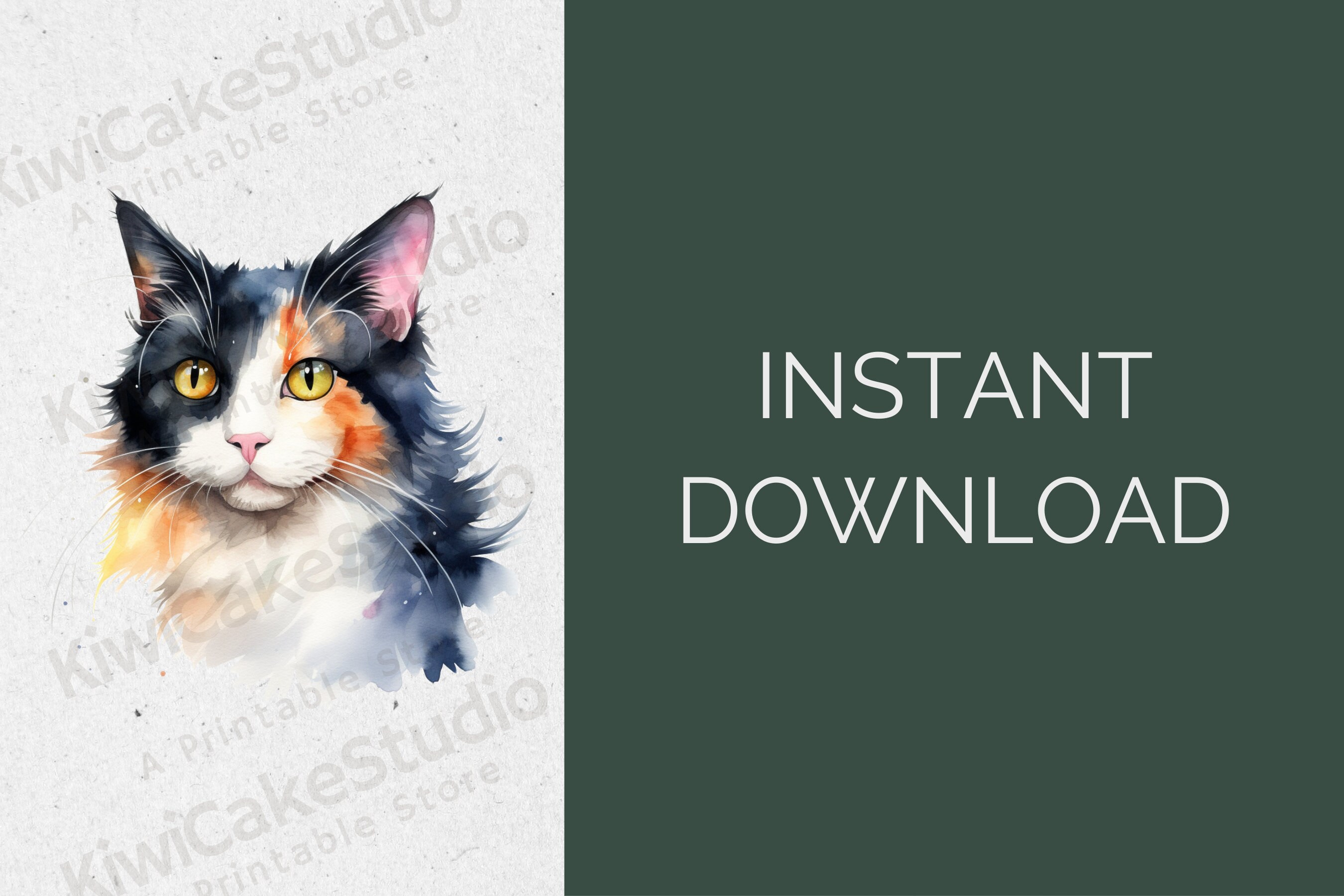 Watercolor Calico Cat Clipart, Jpgs, Cute Floral Cats and Kittens ...
