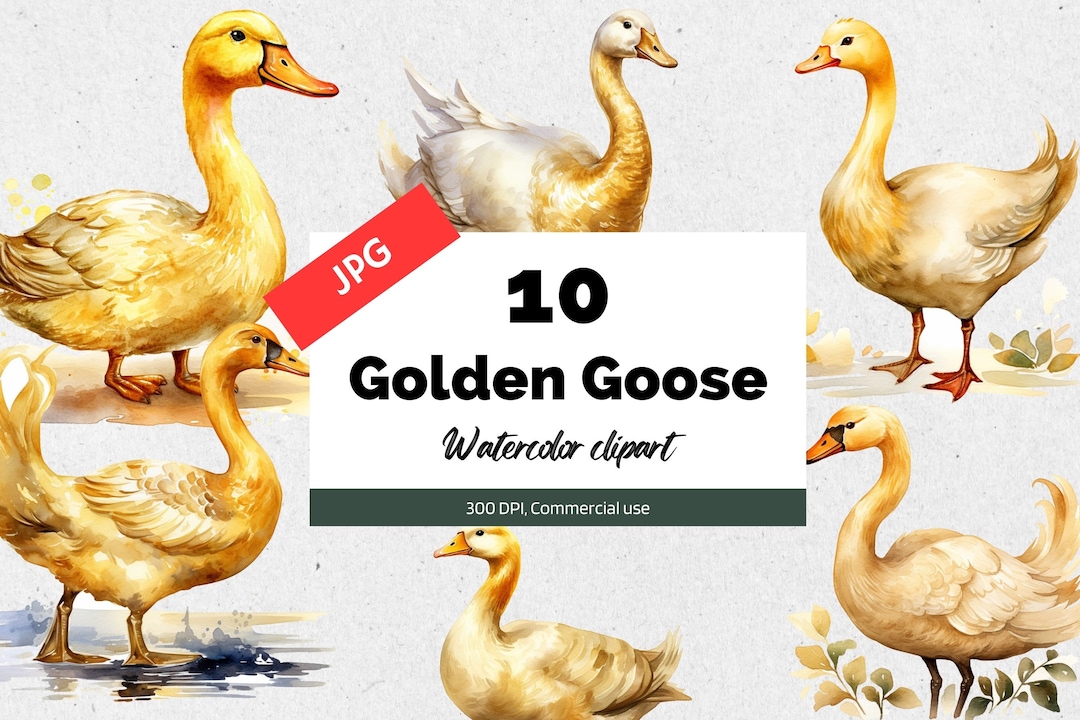 Watercolor Golden Goose Clipart, 10 High Quality JPG, Commercial Use ...
