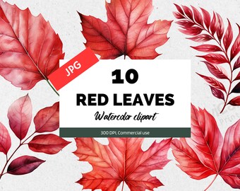 Watercolor red leaves clipart, 10 High quality JPGs, Autumn clipart, Fall clipart, Thanksgiving, Woodland, Rustic, Oak, Maple leaves